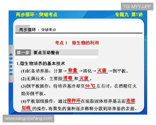 如何利用凯发体育安卓版提升您的投注策略与乐趣体验