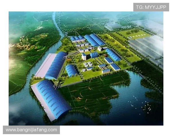 凯发·k8官网积极响应行业监管政策，推动绿色健康的娱乐环境建设